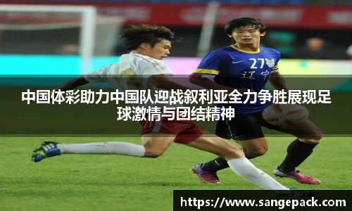 中国体彩助力中国队迎战叙利亚全力争胜展现足球激情与团结精神