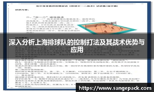 深入分析上海排球队的控制打法及其战术优势与应用